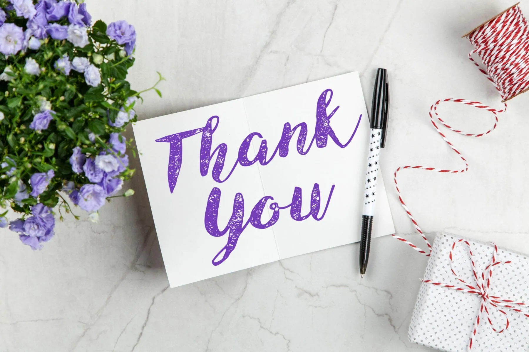 The Art of the Thank You: Crafting Gratitude Emails that Resonate with Donors